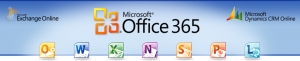 microsoft office 365 it services